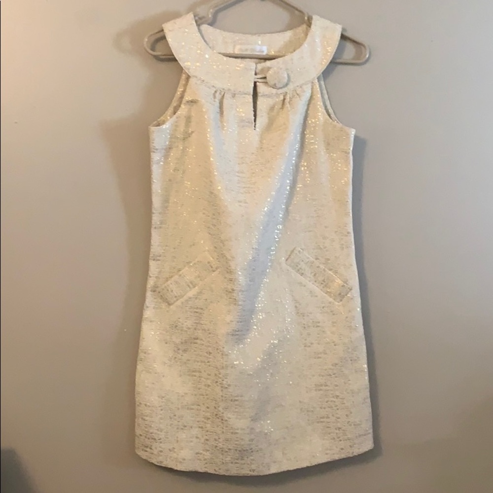 BB Dakota dress